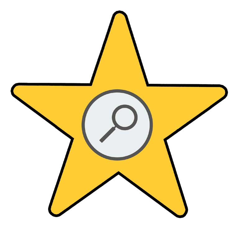 star logo information detective