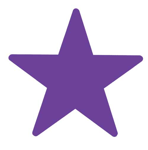 star logo violet