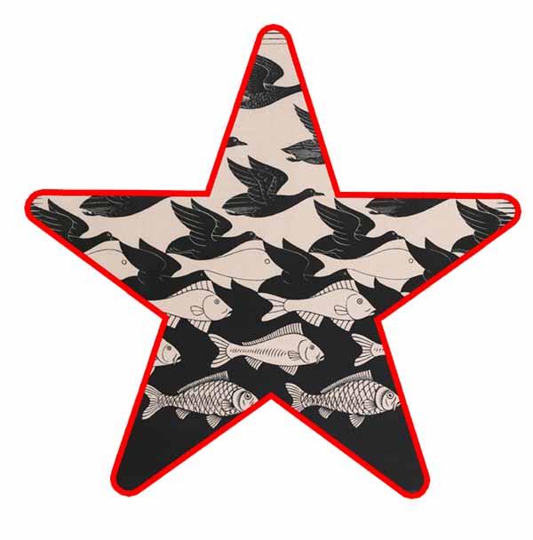 Artist star E.C. Escher B 4