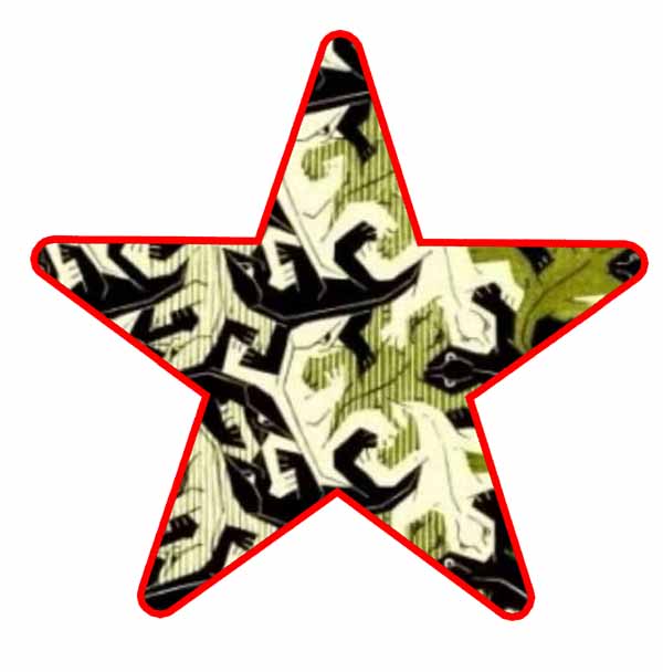 Artist star E.C. Escher C 4