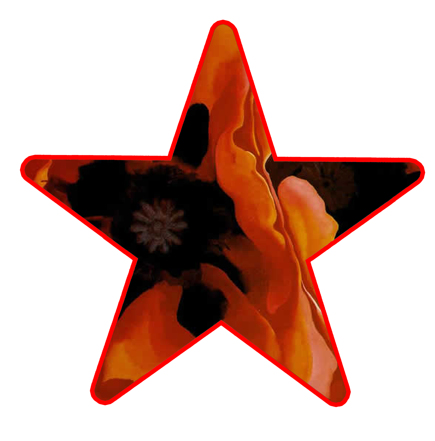 Artist star Georgia O Keeffe poppies