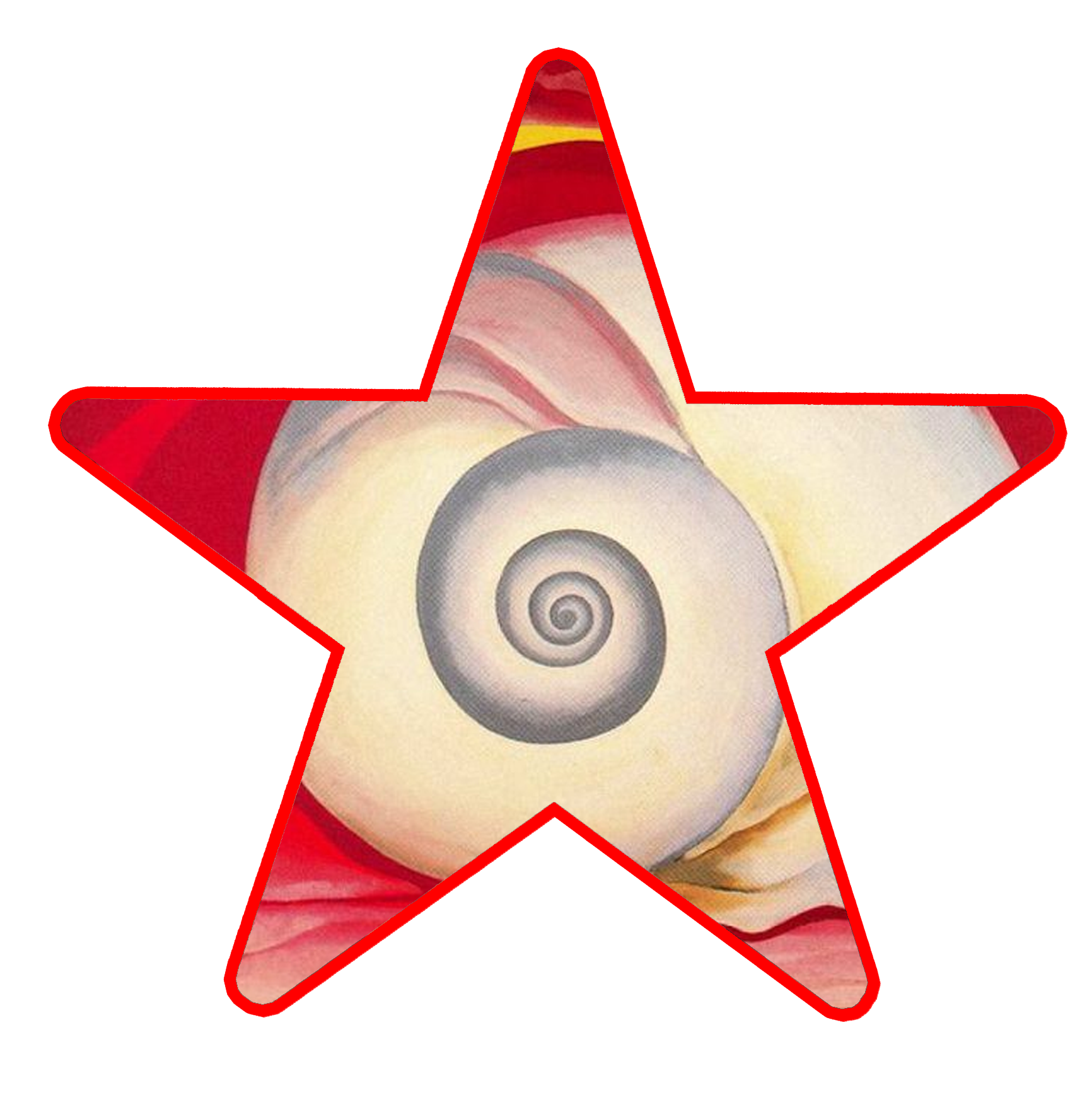 Artist star Georgia O Keeffe shell